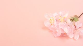 さくらサーバーのドメイン直下にWordPressをインストールする
